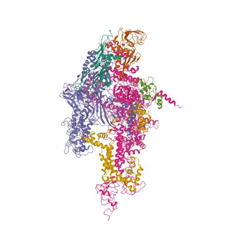 Rcsb Pdb Cw Crystal Structure Of Thermus Thermophilus Rna