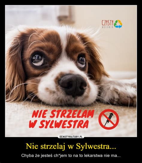 Nie Strzelaj W Sylwestra Demotywatory Pl