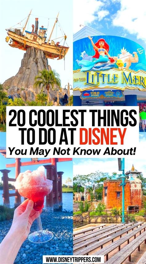 Coolest Things To Do In Disney World Artofit