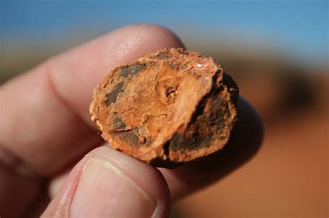 Imaggeo Manganese And Iron Covering A Carbonate Concretion