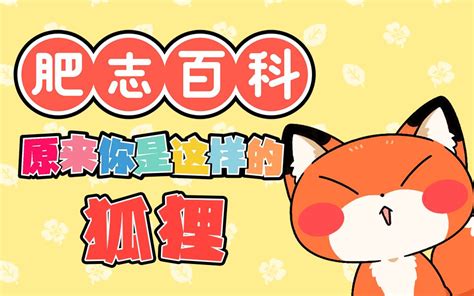 肥志百科第44集 国创 高清正版在线观看 Bilibili 哔哩哔哩