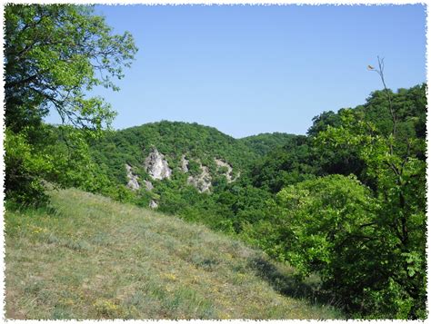 bakony bakony tuzifa