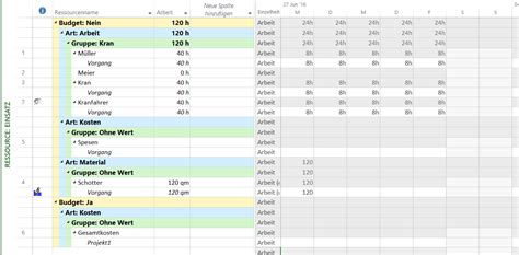 Ressourcenplanung Mit Microsoft Project