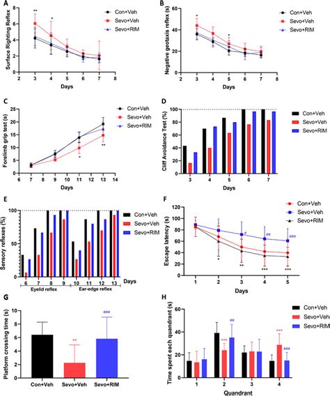 Frontiers Maternal Sevoflurane Exposure Induces Neurotoxicity In