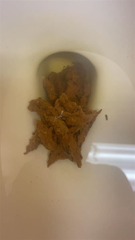 Is This Normal I Had A Lot Of Fiber Yesterday Rpoop