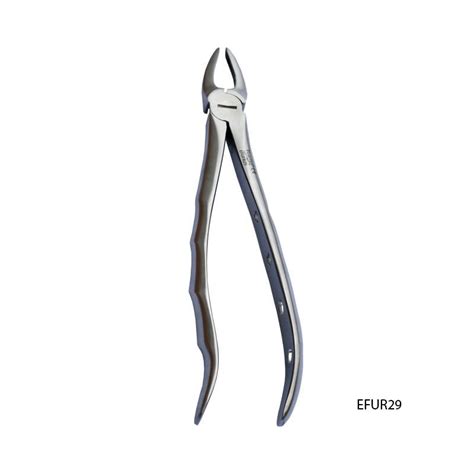 29 Extraction Forceps For Upper Front Roots Fortec