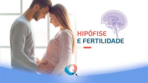 Hipófise e fertilidade Dr Augusto Bussab Reprodução Humana