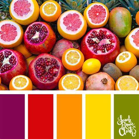 25 Summer Color Palettes Inspiring Color Schemes By Sarah Renae Clark