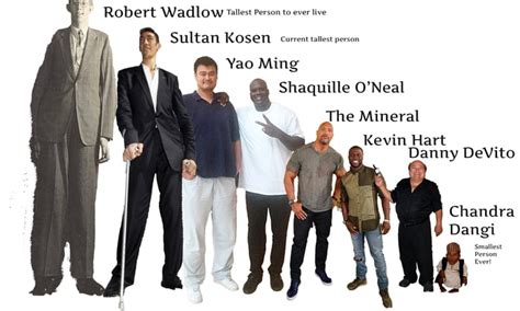 A Height Comparison Between People Who Are Considered Short Tall 9GAG