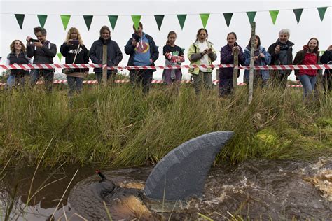 Bog snorkelling in Llanwrtyd Wells, mid Wales - Matthew Horwood Photography