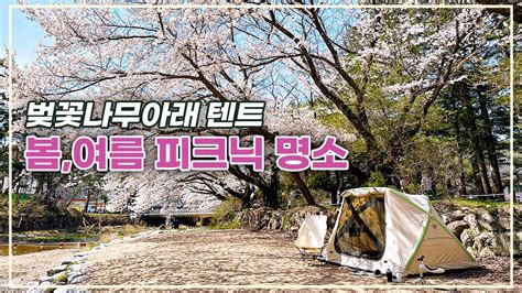 🌸봄피크닉 추천 속리산 물놀이 속리산조각공원 봄소풍 🏕️텐트 가능 계곡 Youtube