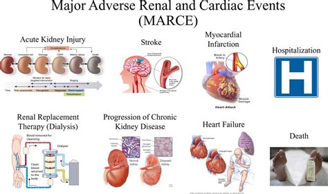 Cardiorenal Syndrome Classification Pathophysiology Diagnosis And