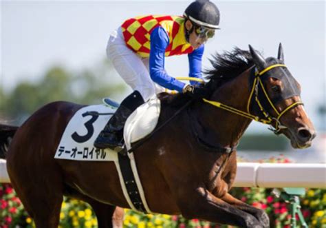 今週はjra、アメリカ、地方で競馬三昧！万馬券狙いなら絶対にアルゼンチン共和国杯！マスコミが情報公開できない穴馬？ Gj