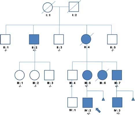 Basic Principles Of Genetics Flashcards Quizlet