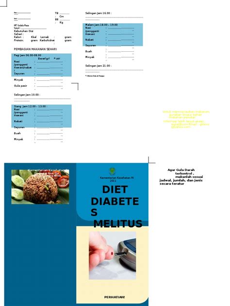 Brosur Diet Diabetes Melitus Pdf