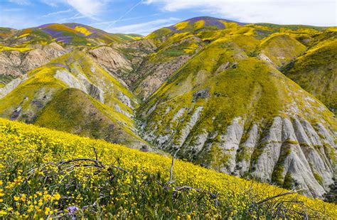 Carrizo Plain National Monument, Soda Lake Rd, Santa Margarita, CA, USA ...