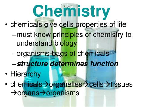 Ppt Chemicals Of Life Powerpoint Presentation Free Download Id5798833