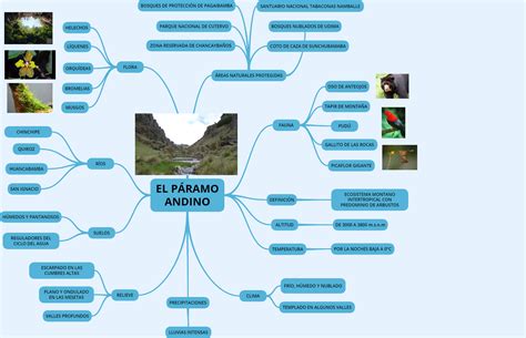 Mapa Conceptual De Areas Naturales Protegidas Crisma Images Sexiz Pix