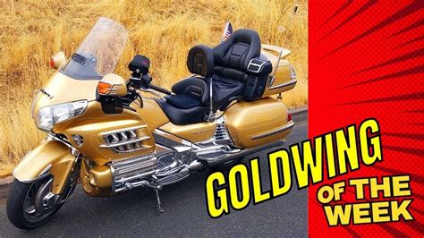 Goldwing Of The Week Custom Gold Paint Job Amazing Dash Upgrade