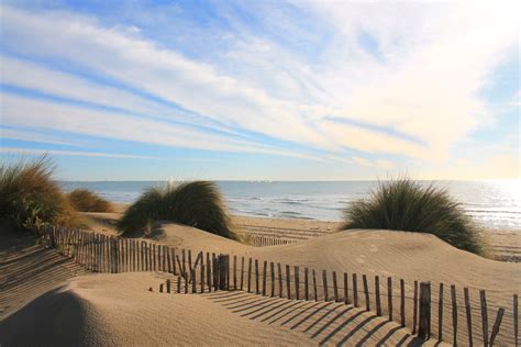 Hidden Camargue: France's Wild Wetlands (with Map and Images) - Seeker