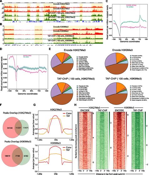 Taf Chip An Ultra Low Input Approach For Genome Wide Chromatin