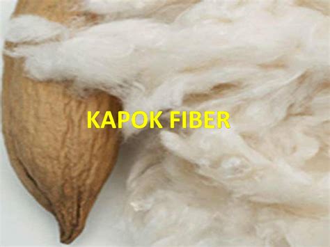 Kapok Fiber Agro Raya Co