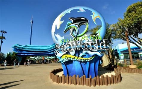 Best Beaches Near SeaWorld San Diego - California Beaches