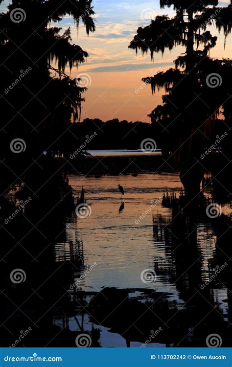 Sunset in Lake Martin Louisiana, with Silhouette of Egret in the ...