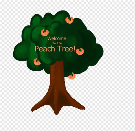 Tree Font Peach Fruit Peach Fruit Organism Plant Png Pngwing