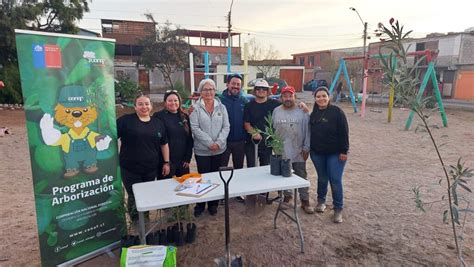 Conaf Arica Celebr El D A Del Rbol Plantando Rboles En Plazas Y