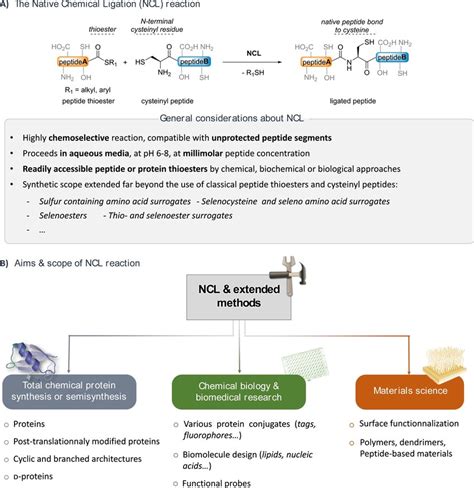 General Considerations About The Native Chemical Ligation Ncl Download Scientific Diagram