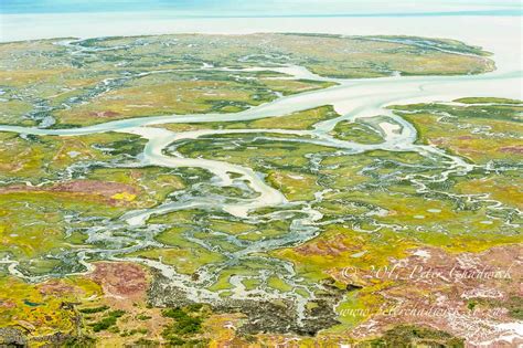 Langebaan Salt Marsh Peter Chadwick African Conservation Photographer