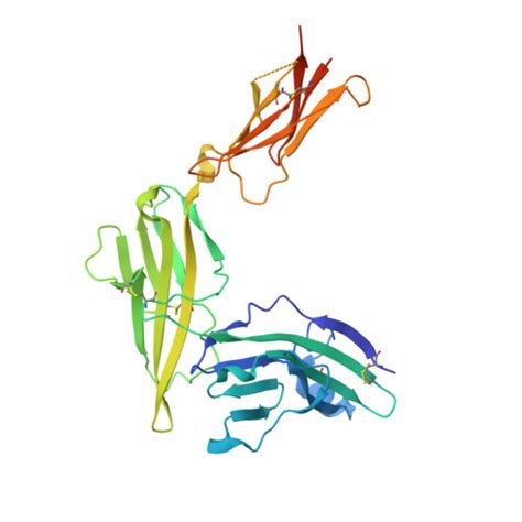 Gene Q9NPH3 Protein IL1RAP Overview CanSAR Ai