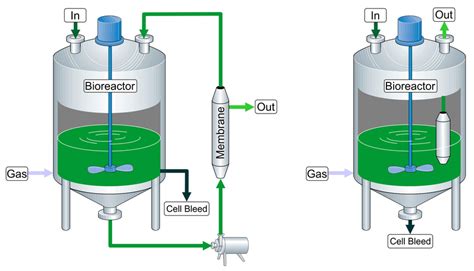 Membrane Bioreactor System