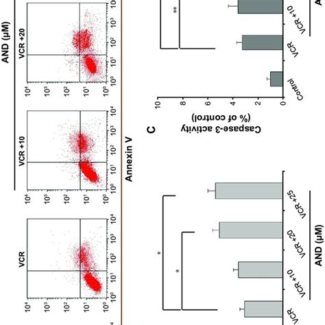 The Caspase Dependent Apoptosis Induced By Vcr Plus And In Sk Nep 1