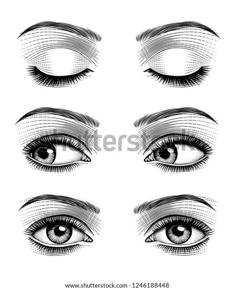 Womens Eyes Perfect Eyebrowes Full Lashes Stock Vector (Royalty Free) 1246188448 | Shutterstock