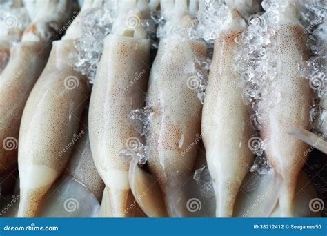 Fresh Squid In The Market Stock Photo Image Of Color 38212412