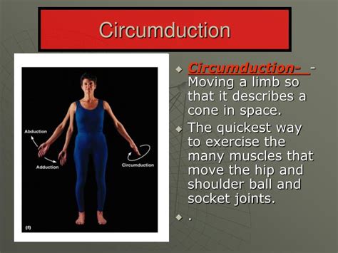 PPT - The Joints of the Skeleton System PowerPoint Presentation - ID ...