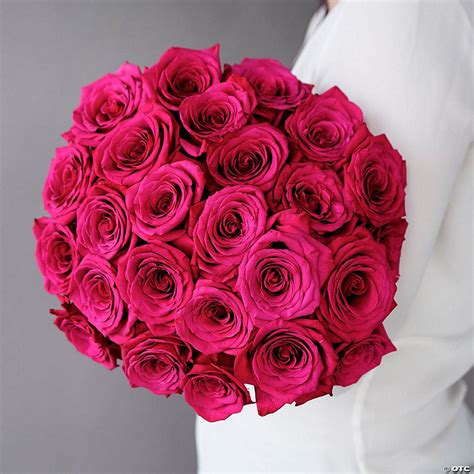 Bulk Flowers Fresh Dark Pink Roses | Oriental Trading