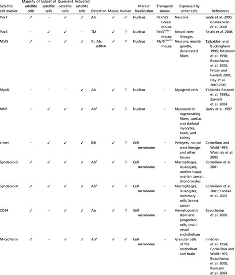 Markers of satellite cells | Download Table