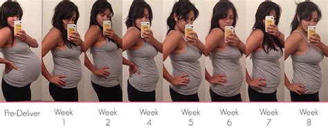 Pregnancy About Week By Week