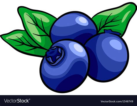 Download High Quality blueberry clipart cartoon Transparent PNG Images - Art Prim clip arts 2019