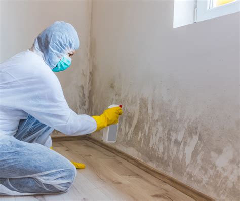 10 Early Signs Of Mold In Your House Jenkins Environmental