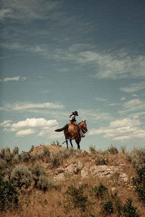 Western Ben Christensens Portfolio Western Photography Horse