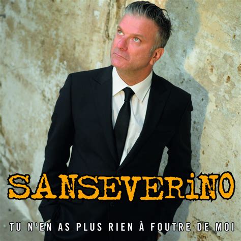 Tu N En As Plus Rien Foutre De Moi Single By Sanseverino Spotify