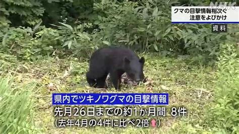 山梨県内 クマの目撃情報相次ぐ 注意を｜nhk 山梨県のニュース