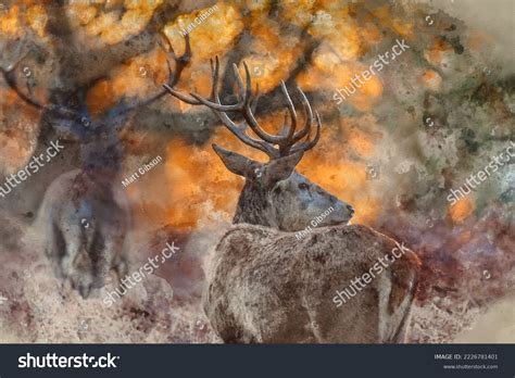 Illustration Of Herd Of Deer: Over 1,750 Royalty-Free Licensable Stock ...