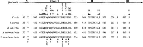 Frontiers Enhanced Bioremediation Potential Of Shewanella