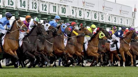 Melbourne Cup Field & Barrier Draw [2020] | So Perth