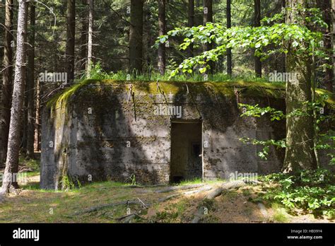 Wehrmacht Heer Farbe Fotos Und Bildmaterial In Hoher Aufl Sung Alamy